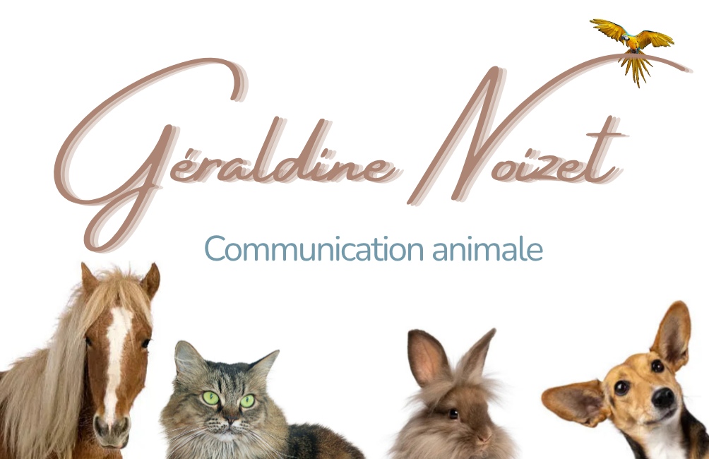 Géraldine Noizet
